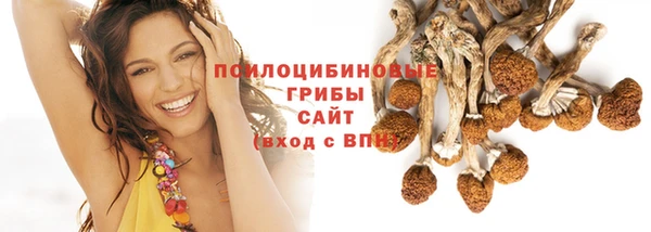 прущие грибы Верхний Тагил