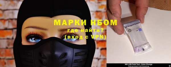 прущие грибы Верхний Тагил