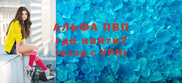 гашик Верея