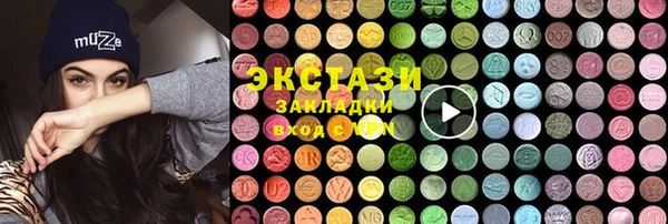 прущие грибы Верхний Тагил