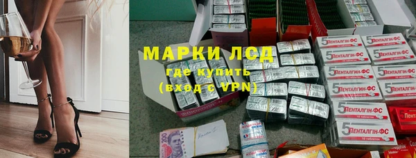 гашик Верея