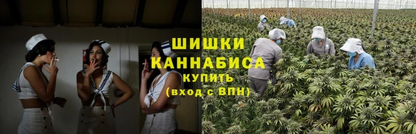 гашик Верея