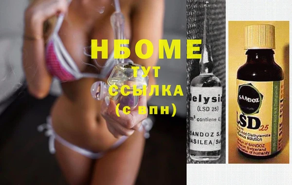 гашик Верея
