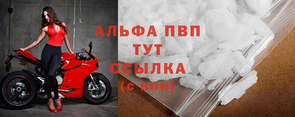гашик Верея