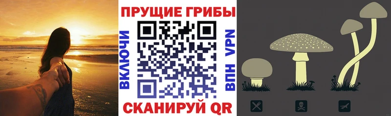 Галлюциногенные грибы мухоморы  Гагарин 